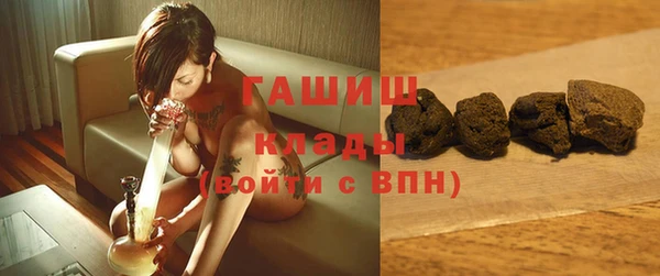 прущие грибы Няндома