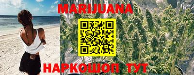 шишки Балашиха