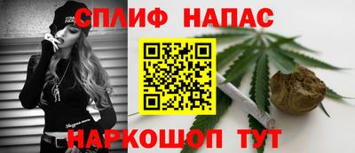 шишки Балашиха