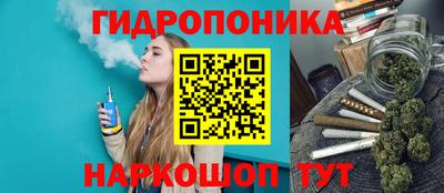 шишки Балашиха